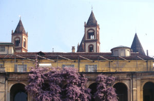 Museo Borgogna, Vercelli, alberi monumentali, Gran Tour, glicine Sant'Andrea